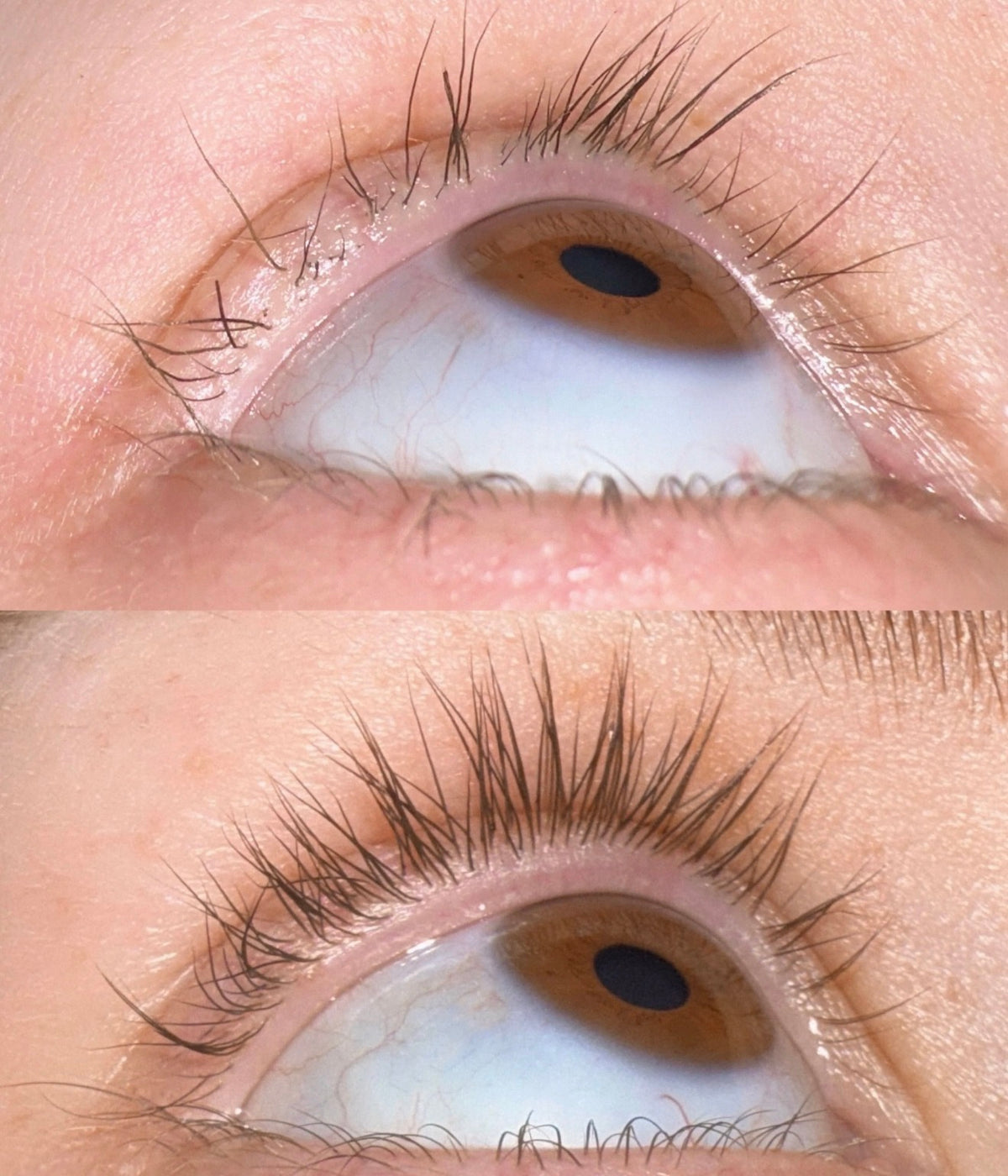 Light Heart Lash Serum