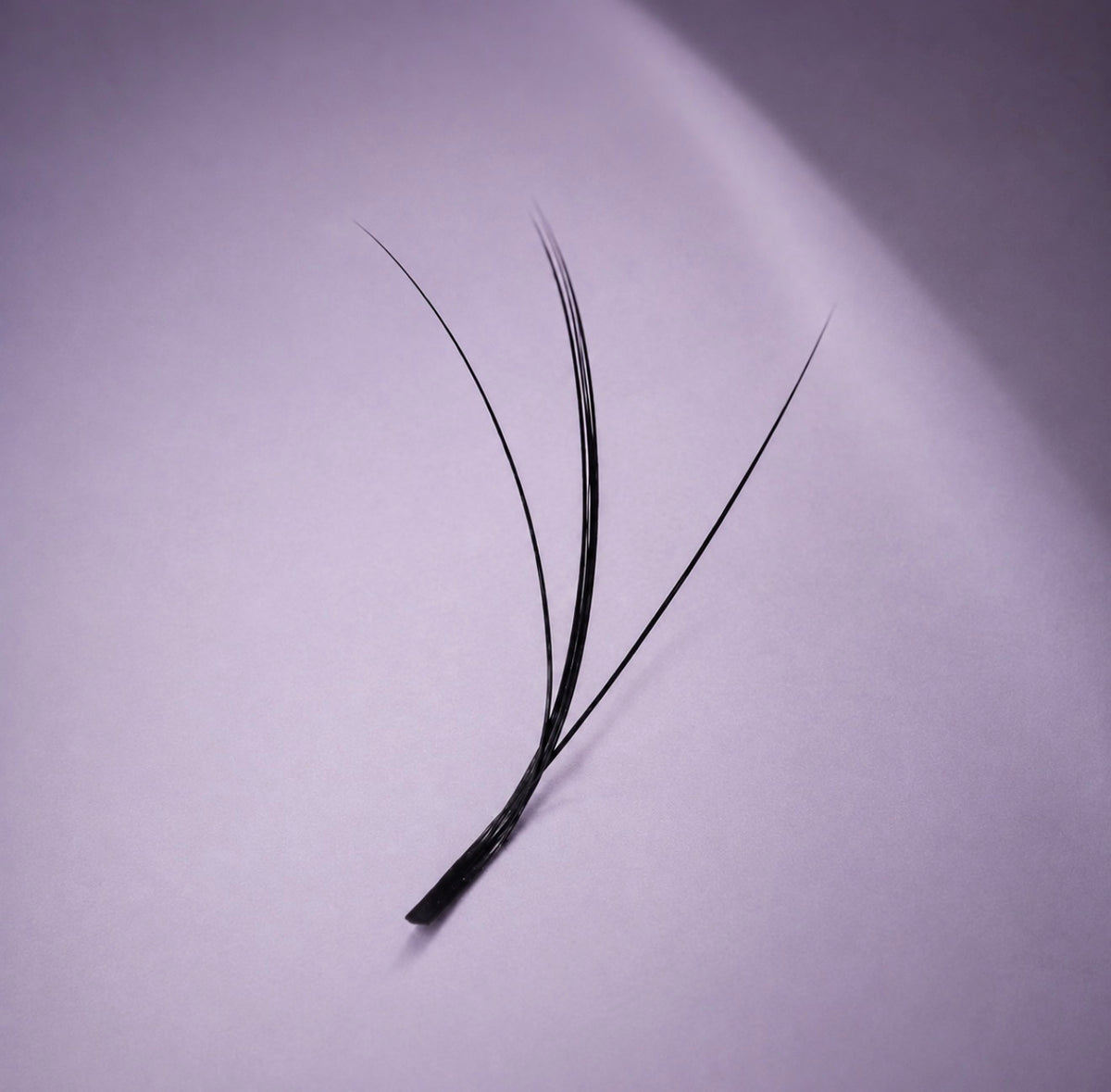 Fairy (Single Length)
